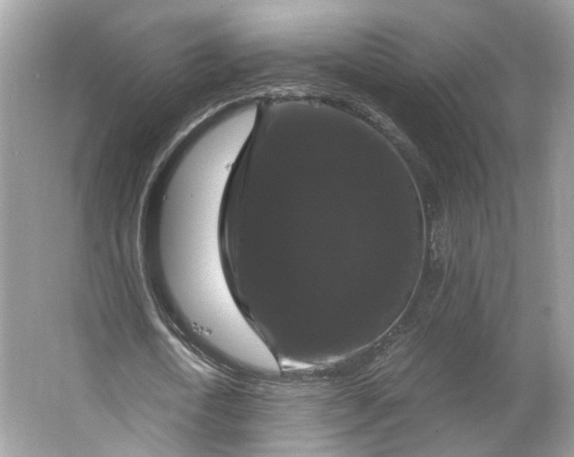 X0000066110722200603241543