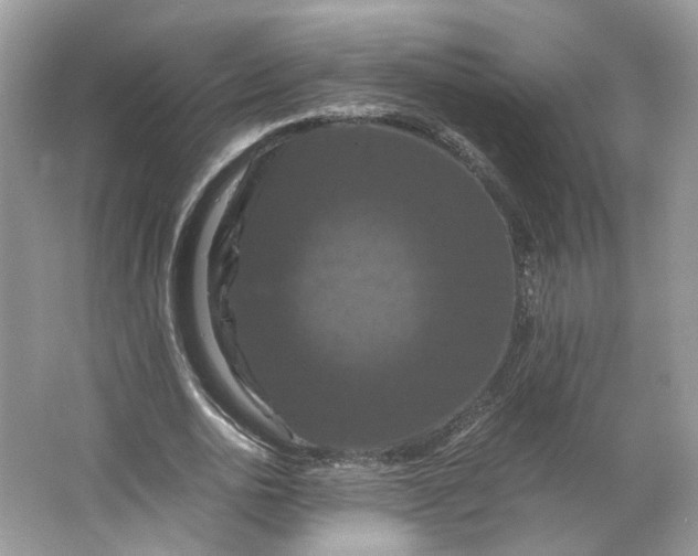 X0000066110726200603241543