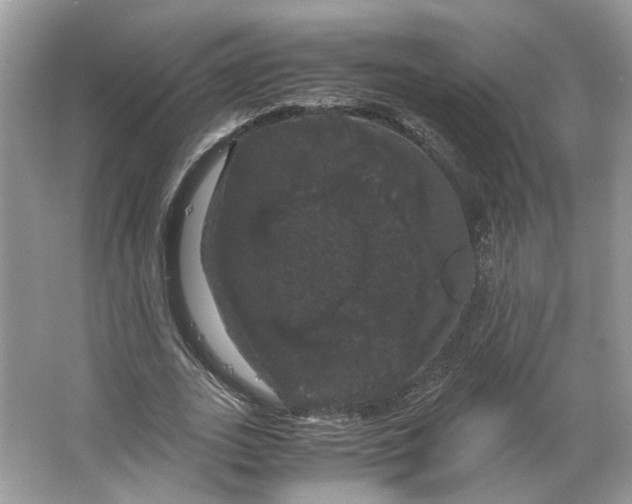 X0000066110727200603241543