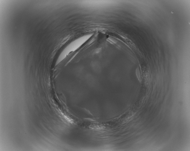 X0000066110729200603241543