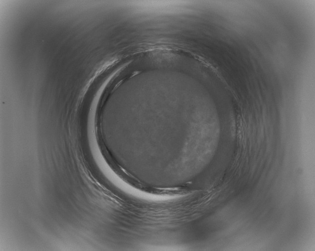 X0000066110731200603241543