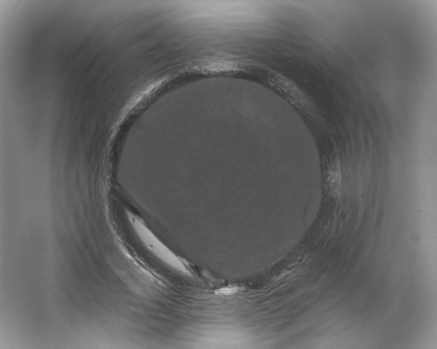 X0000066110732200603241543