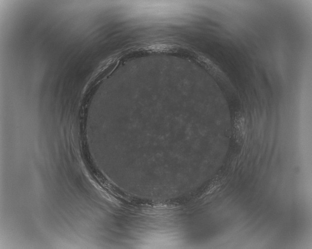 X0000066110734200603241543
