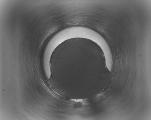 X0000066110735200603241543
