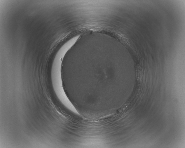 X0000066110740200603241543