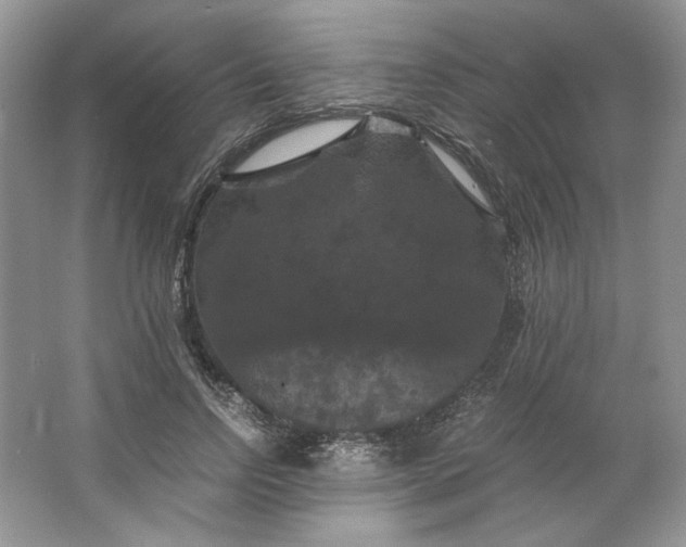 X0000066110742200603241543