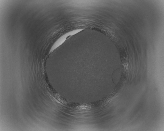 X0000066110745200603241544