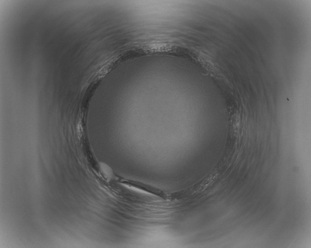 X0000066110746200603241544