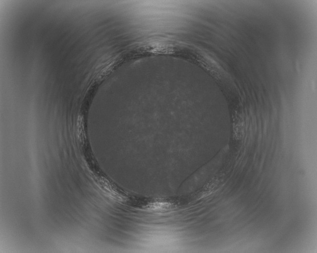 X0000066110748200603241544