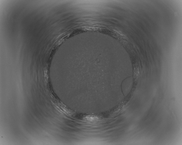 X0000066110749200603241544