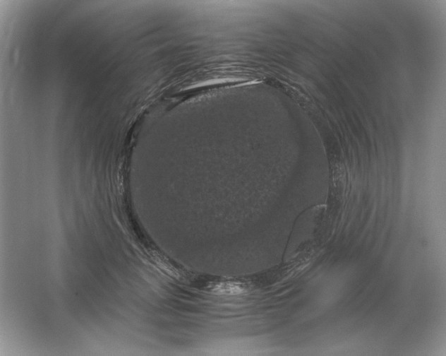 X0000066110751200603241544