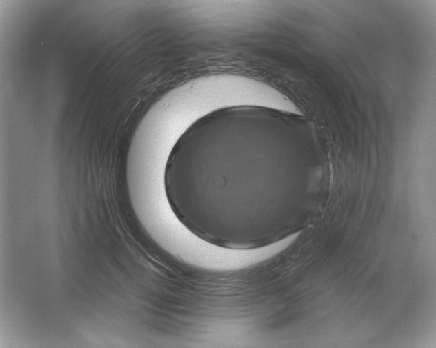 X0000066110752200603241544