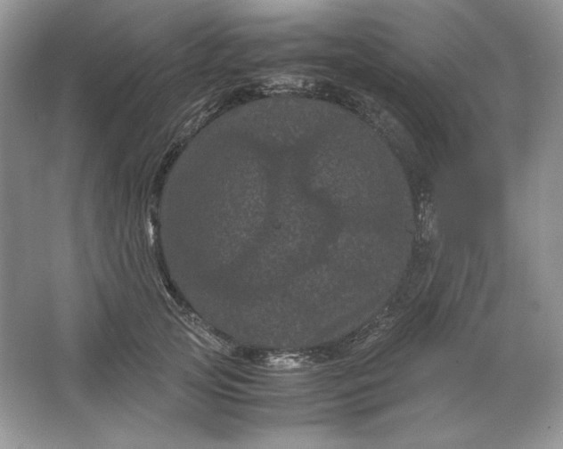 X0000066110753200603241544