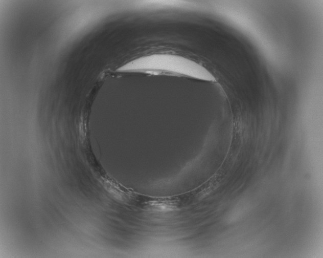 X0000066110763200603241544