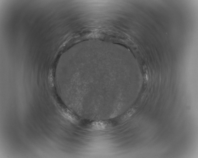 X0000066110764200603241544