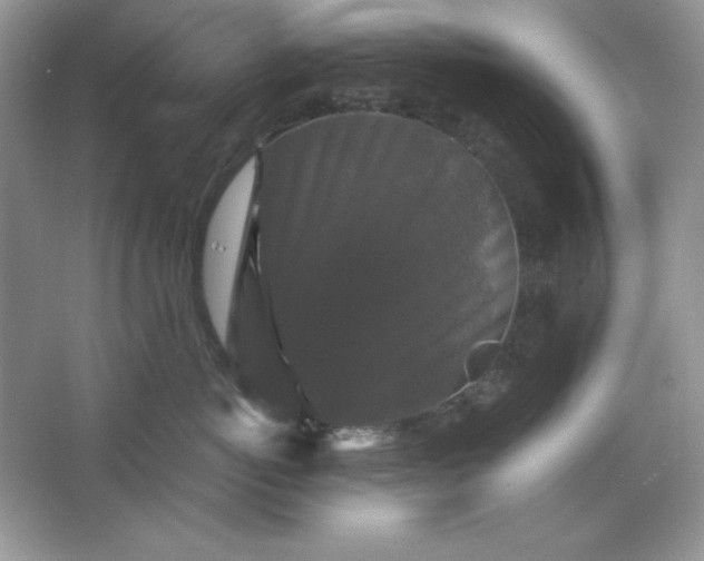 X0000066110766200603241544