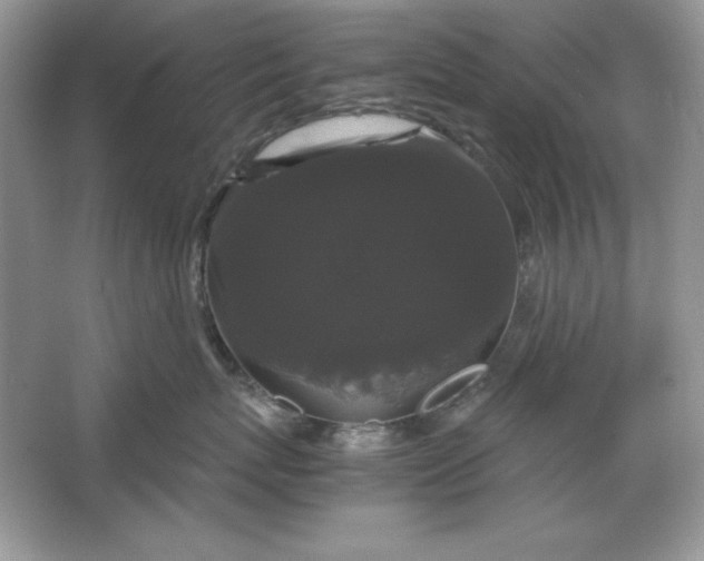X0000066110767200603241544