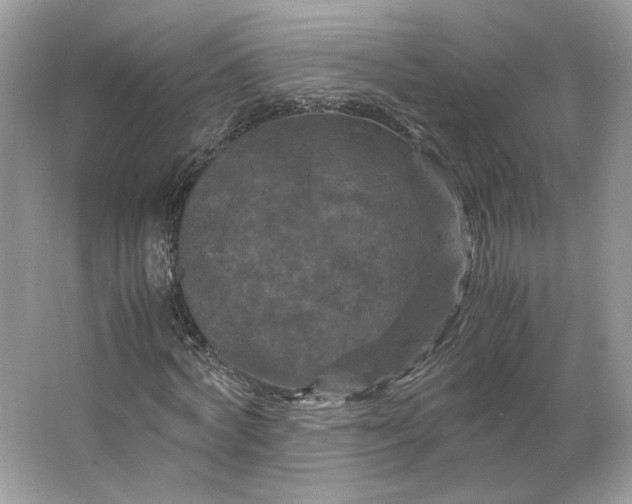 X0000066110772200603241543
