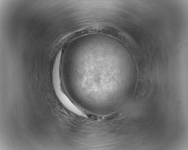 X0000066110773200603241543