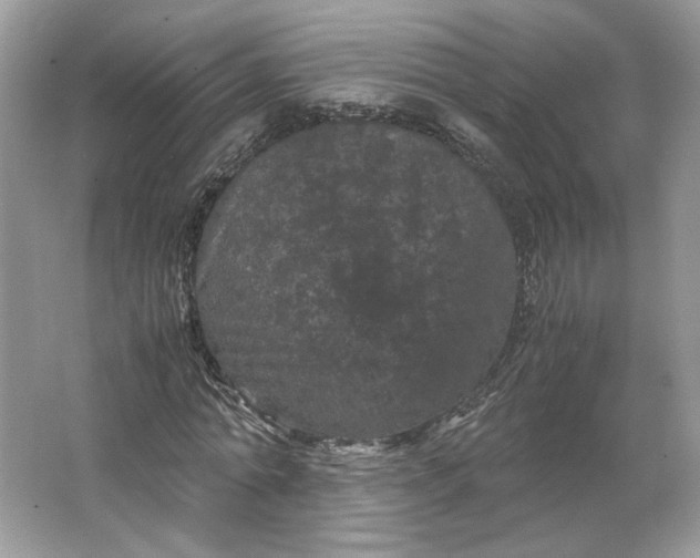 X0000066110774200603241543