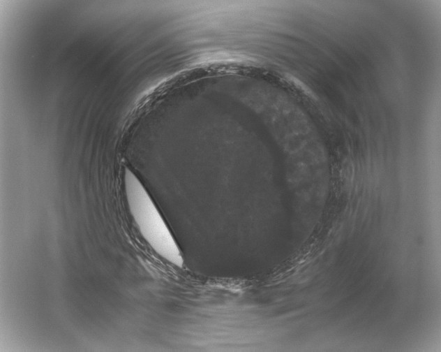 X0000066110775200603241543