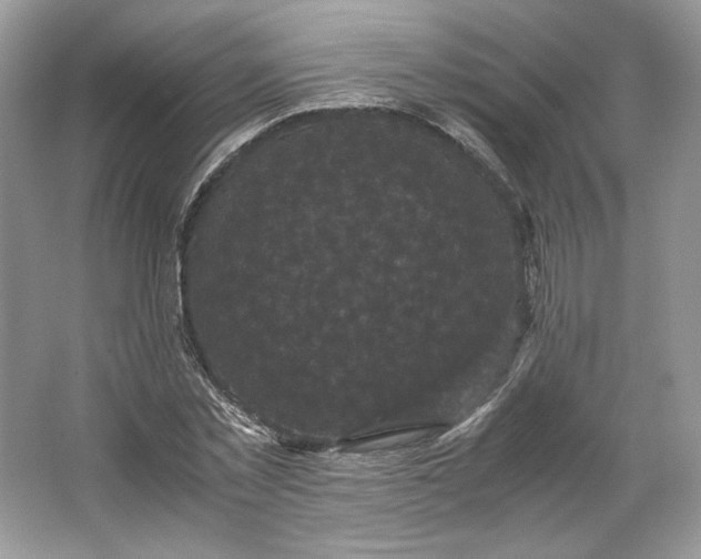X0000066110781200603241543