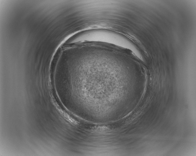 X0000066110784200603241543