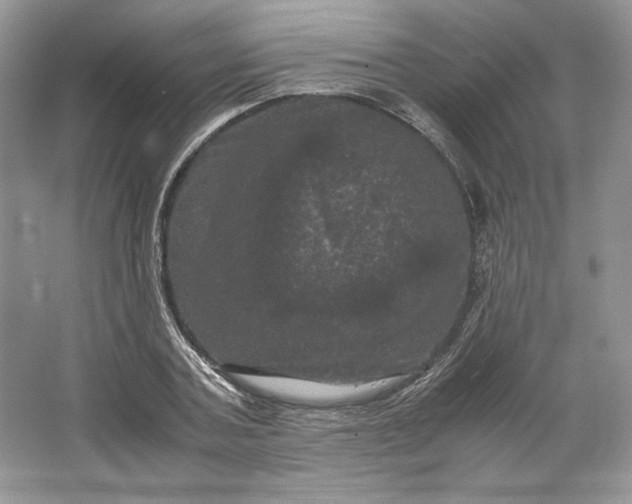 X0000066110787200603241543