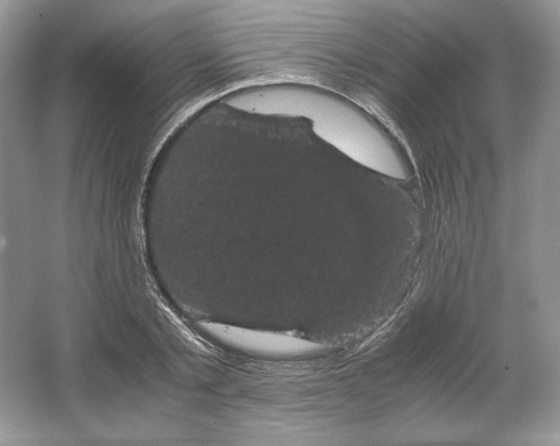 X0000066110789200603241543