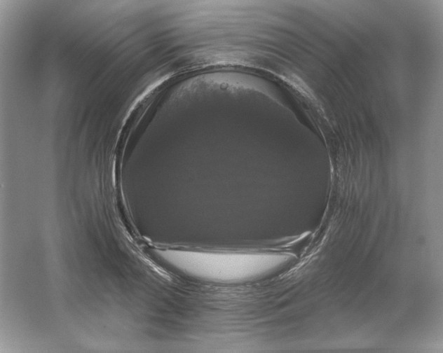 X0000066110790200603241543