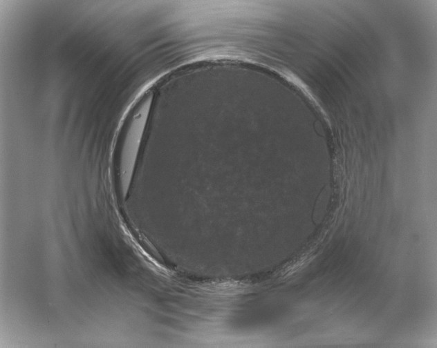 X0000066110791200603241543