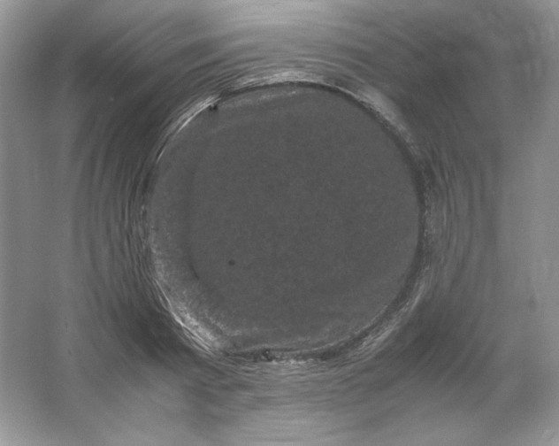 X0000066110793200603241543