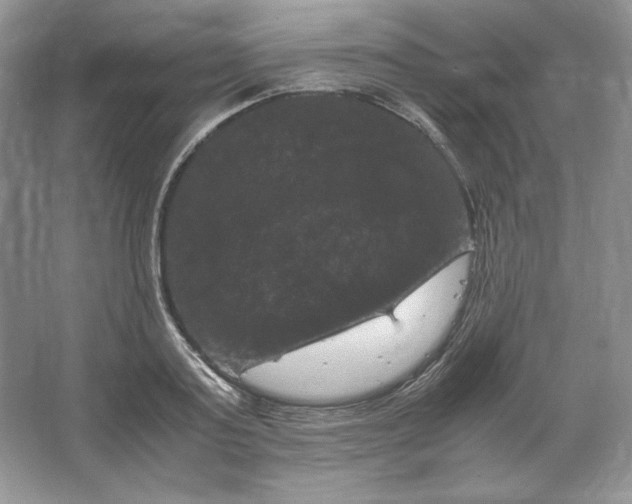 X0000066110795200603241543