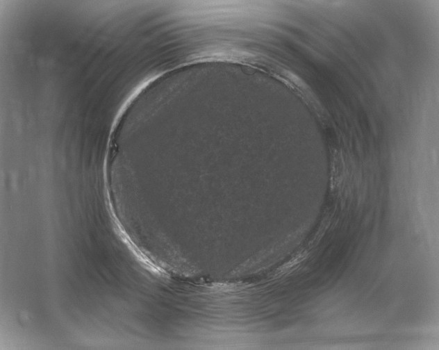 X0000066110796200603241543