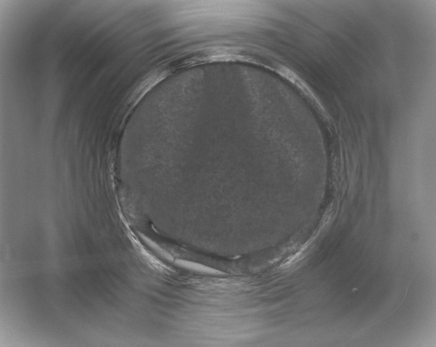 X0000066110801200603241543