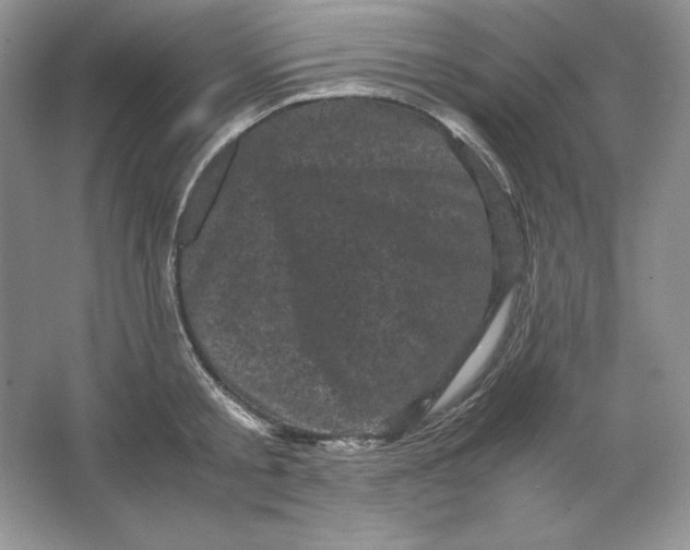 X0000066110805200603241543