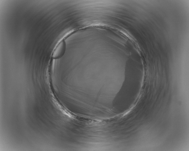 X0000066110806200603241542