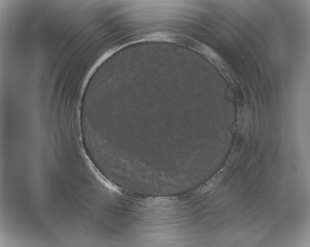 X0000066110808200603241542