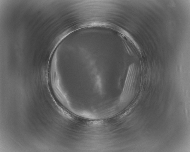 X0000066110810200603241542