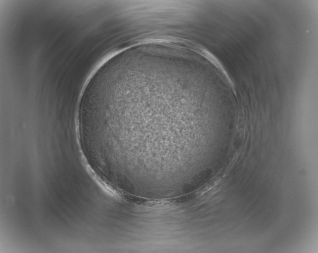 X0000066110811200603241542