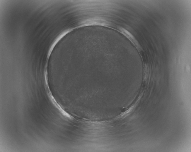 X0000066110812200603241542