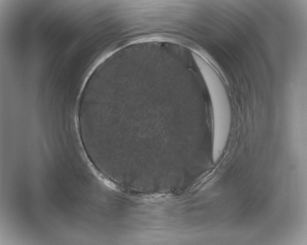 X0000066110813200603241542