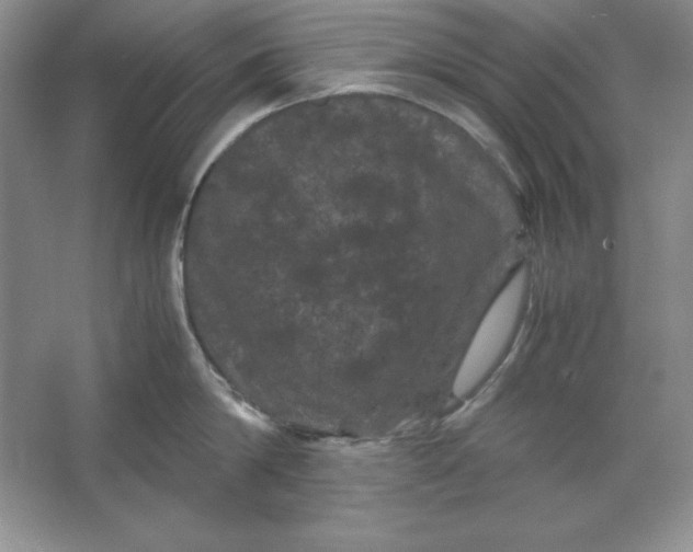 X0000066110814200603241542