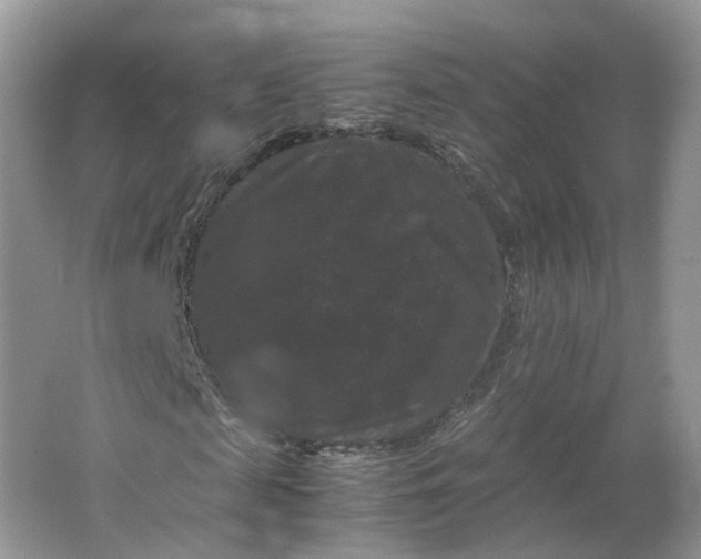 X0000066110817200603241542