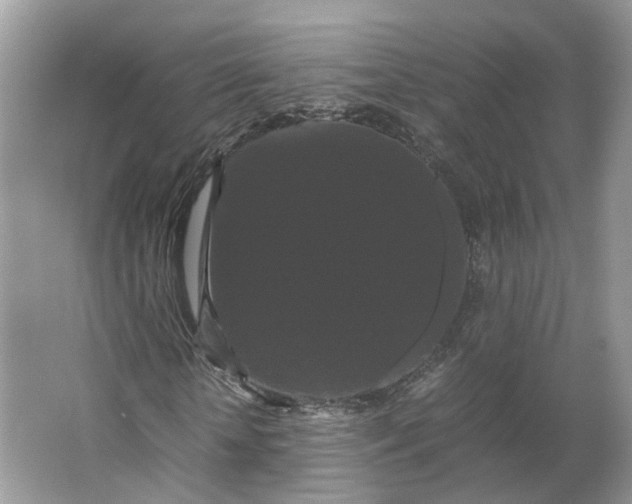 X0000066110818200603241542