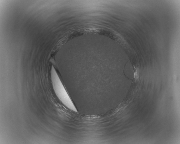 X0000066110819200603241542
