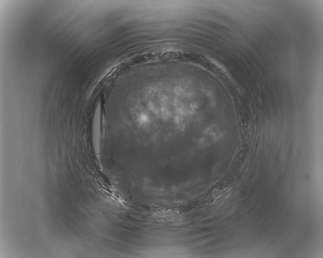 X0000066110823200603241542