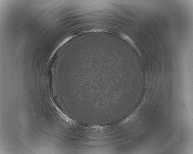 X0000066110827200603241542