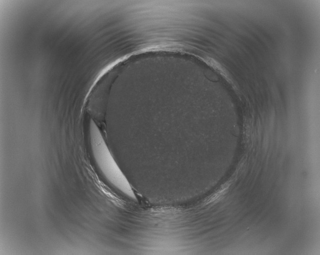 X0000066110830200603241542