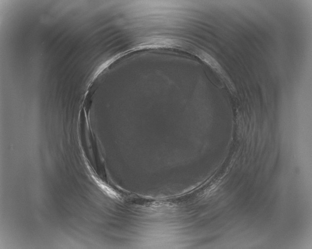 X0000066110842200603241542